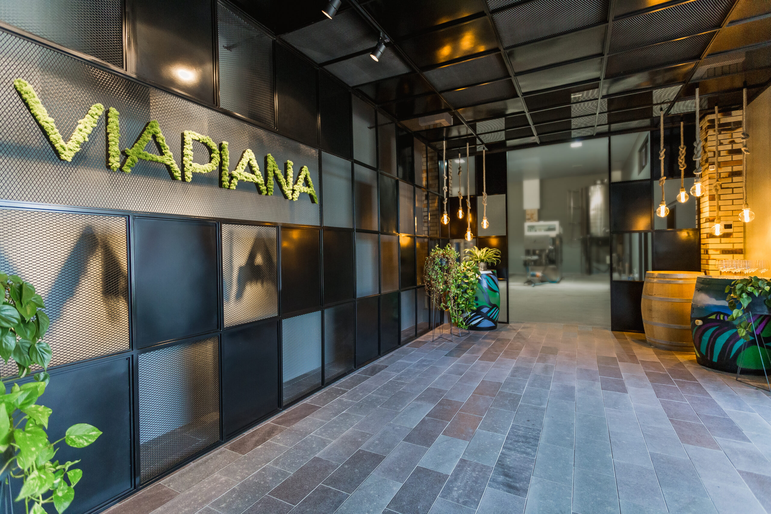 Visita Guiada e Degustação (testes) - Imagem 5